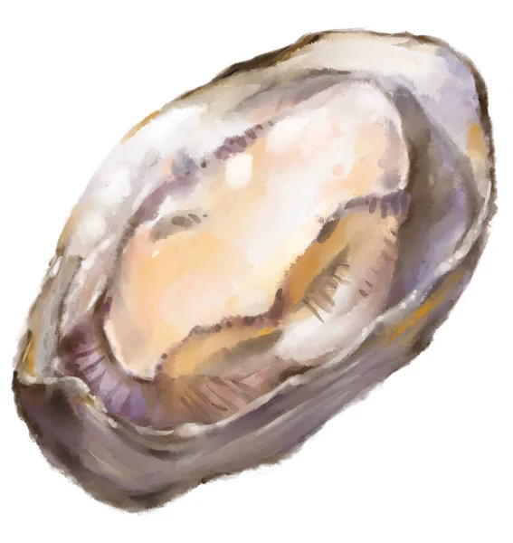Fresh Raw Oyster Watercolor Painting Seafood Shellfish Artistic Illustration — Stock fotografie