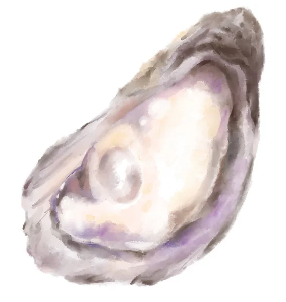 Fresh Raw Oyster Watercolor Painting Seafood Shellfish Artistic Illustration — Foto de Stock