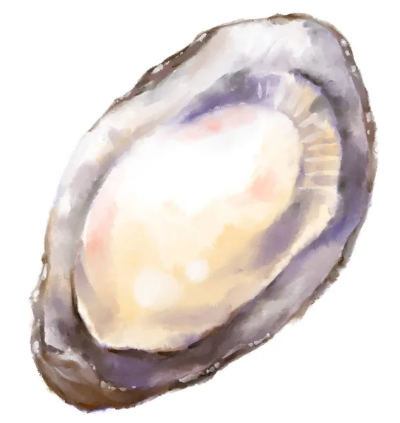 Fresh Raw Oyster Watercolor Painting Seafood Shellfish Artistic Illustration — Foto Stock