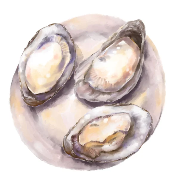 Fresh Raw Oyster Watercolor Painting Seafood Shellfish Artistic Illustration — Stock Photo, Image