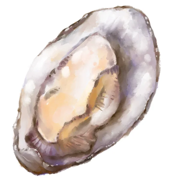 Fresh Raw Oyster Watercolor Painting Seafood Shellfish Artistic Illustration — 图库照片