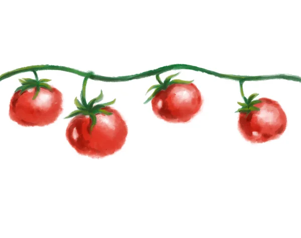 Tomato Vine Watercolor Painting Illustration Fresh Red Vegetable Illustration — Stock Fotó