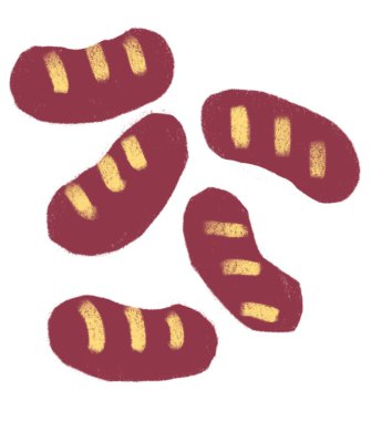 Sausage breakfast food set elements hand drawn doodle minimal style pastel color illustration art