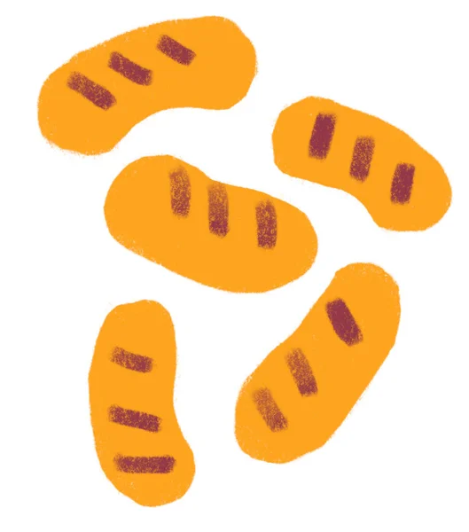 Sausage Breakfast Food Set Elements Hand Drawn Doodle Minimal Style — Stock Photo, Image
