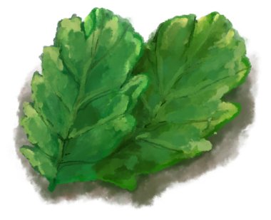 Green salad vegetable breakfast side watercolor painting illustration art