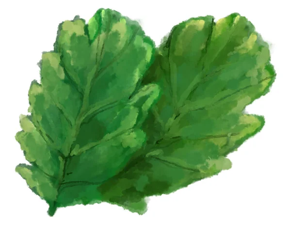 Green Salad Vegetable Breakfast Side Watercolor Painting Illustration Art — Photo