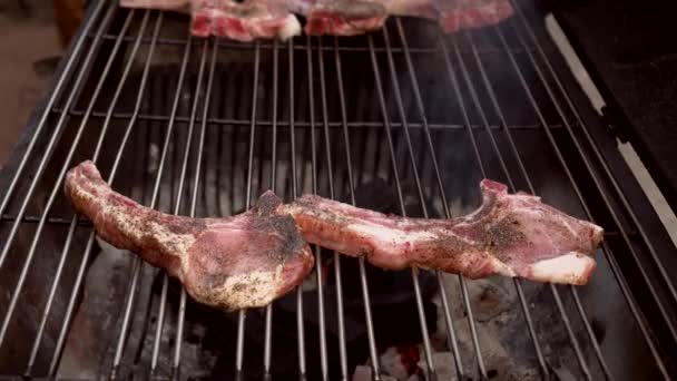 Raw Pork Chops Ribs Meat Steaks Grilling Stove Bbq Grill — Stock video