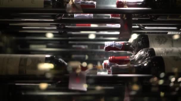 Bangkok Thailand Apr 2022 Wines Bottle Chilled Cellar Fridge Expensive — Stock Video