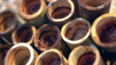 Khao taze bambu kabında fasulye ve hindistan cevizi sütüyle pişmiş pilav Tayland usulü tatlı.