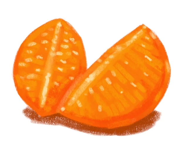 橘色粉笔画草图说明柑橘类水果艺术 — 图库照片