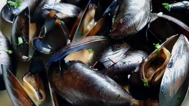 Gedämpfte Miesmuscheln Mit Weißweinbrühe Meeresfrüchte Europäischen Stil Aus Nächster Nähe — Stockvideo