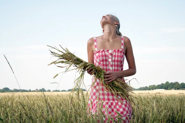 Mujer joven en un campo de maíz —  Fotos de Stock