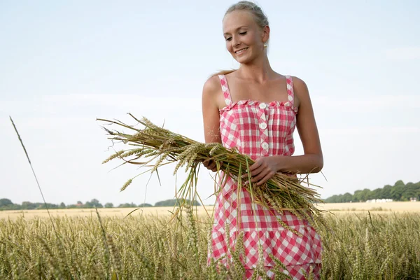 Mujer joven en un campo de maíz —  Fotos de Stock
