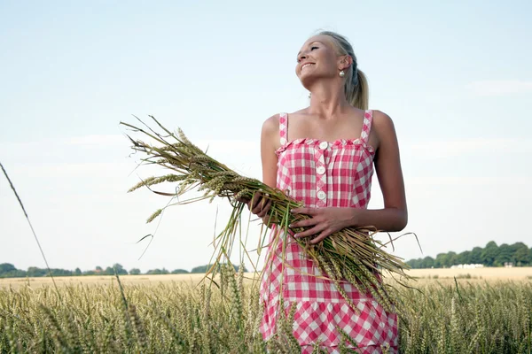 Молодая женщина на кукурузном поле — стоковое фото