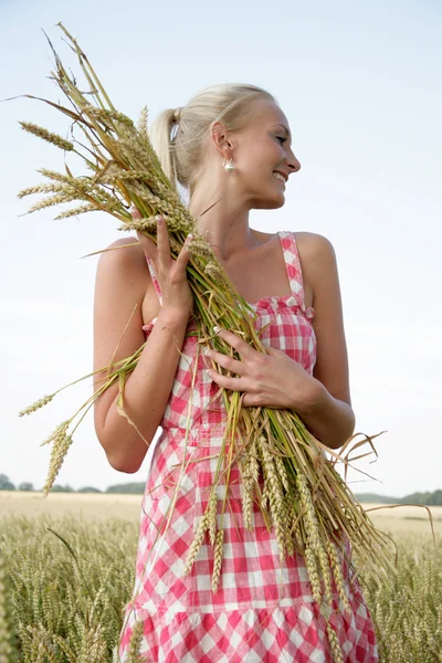 옥수수 밭의 젊은 여자 — 스톡 사진