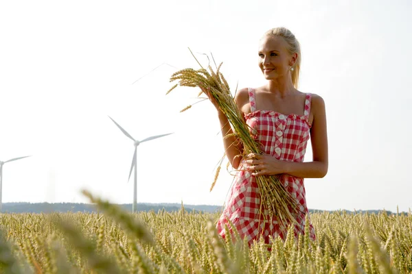 Mujer joven en campo de maíz —  Fotos de Stock