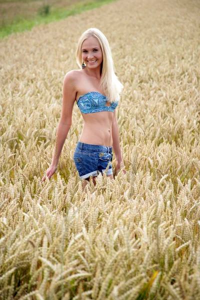 Young woman in cornfield — Stock Photo, Image