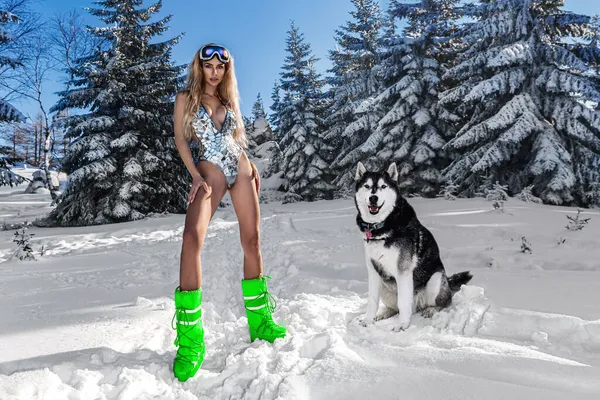 Retrato Invierno Mujer Con Perro Husky Modelo Moda Invierno Bikini — Foto de Stock
