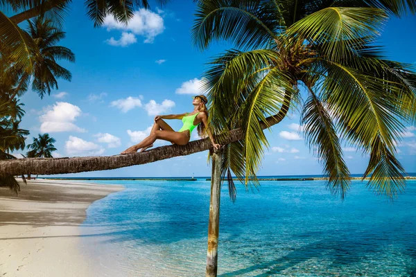 Schöne Frau Bikini Auf Einer Palme Paradiesischen Strand Der Malediven — Stockfoto