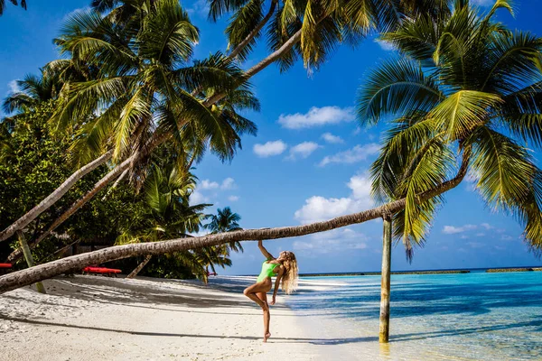 Gyönyörű Bikiniben Egy Pálmafán Maldív Szigetek Paradicsomi Strandján Szexi Modell — Stock Fotó