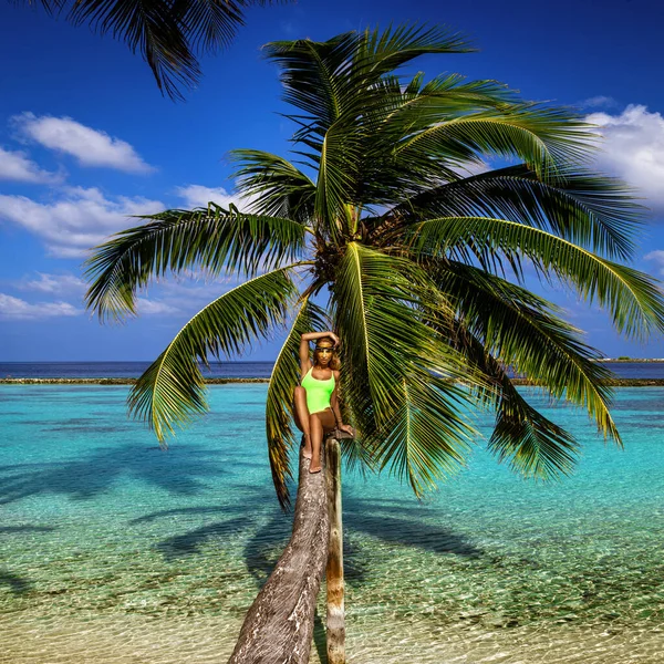 Mooie Vrouw Bikini Een Palmboom Het Paradijselijke Strand Van Malediven — Stockfoto