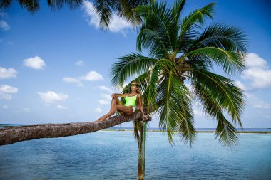 Maldivler 'in cennet sahilinde palmiye ağacında bikinili güzel bir kadın. Plajda bikinili seksi bir manken. Lüks seyahatler. Cennet adasında tatiller. Maldivler manzarası.