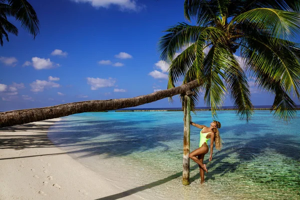Красивая Женщина Бикини Пальме Райском Пляже Мальдив Сексуальная Модель Позирует — стоковое фото