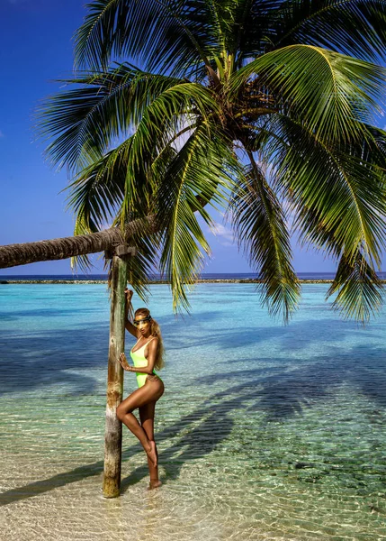 Όμορφη Γυναίκα Μπικίνι Φοίνικα Στην Παραλία Του Παραδείσου Στις Μαλδίβες — Φωτογραφία Αρχείου