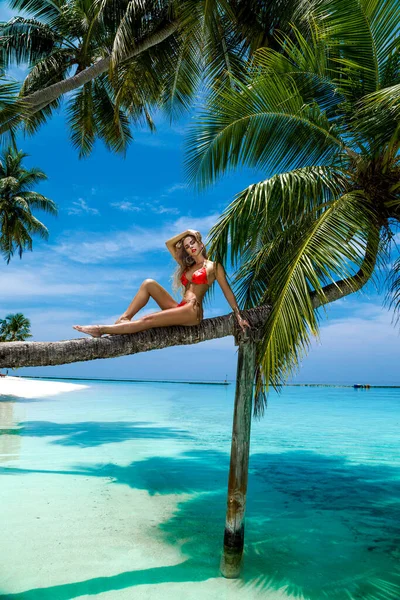 在马尔代夫岛上的热带海滩上 身穿彩色比基尼的美丽的晒黑的女人正坐在棕榈上 性感的女模特在海滩上放松 马尔代夫的风景 豪华旅行 有棕榈的海滩 — 图库照片