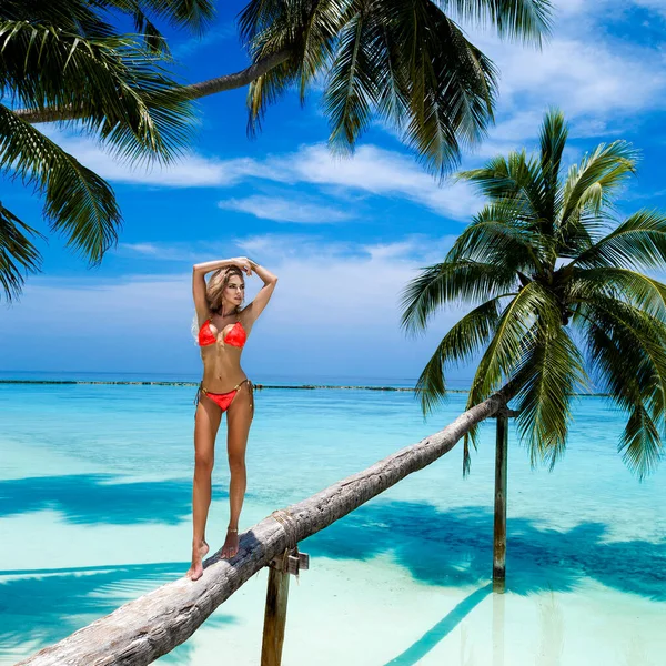 Beautiful Tanned Woman Colorful Bikini Sitting Palm Tropical Beach Maldives — Stockfoto