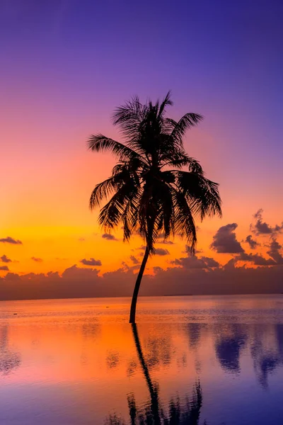 Sunset Maldives Island Luxury Water Villas Resort Wooden Pier Beautiful — Fotografia de Stock