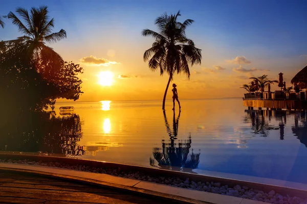 Sunset Maldives Island Luxury Water Villas Resort Pool Palm Tree — Stock Fotó