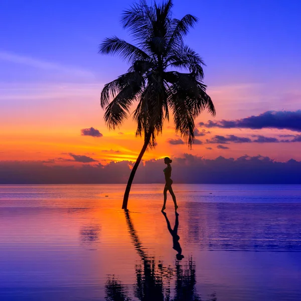 Sunset Maldives Island Luxury Water Villas Resort Pool Palm Tree — Fotografia de Stock