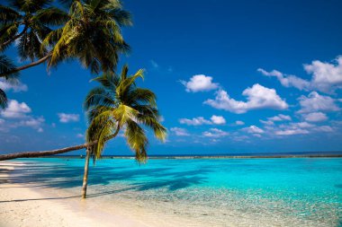 Landscape on Maldives island. Beautiful sky and clouds and beach with palms background for summer vacation holiday and travel concept.