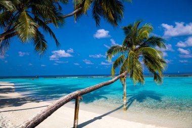 Landscape on Maldives island. Beautiful sky and clouds and beach with palms background for summer vacation holiday and travel concept.