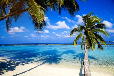 Landscape on Maldives island. Beautiful sky and clouds and beach with palms background for summer vacation holiday and travel concept.