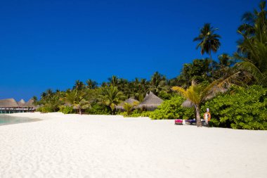 Landscape on Maldives island, luxury water villas resort and wooden pier. Beautiful sky and ocean and beach with palms background for summer vacation holiday and travel concept. Luxury travel.