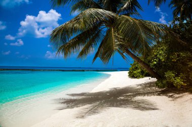 Maldivler adasındaki manzara, lüks su villaları ve kumlu plaj. Güzel bir gökyüzü, okyanus ve yaz tatili ve seyahat konsepti için palmiye arkaplanlı bir sahil. Lüks seyahat. Turizm.