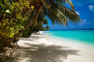 Maldivler adasındaki manzara, lüks su villaları ve kumlu plaj. Güzel bir gökyüzü, okyanus ve yaz tatili ve seyahat konsepti için palmiye arkaplanlı bir sahil. Lüks seyahat. Turizm.