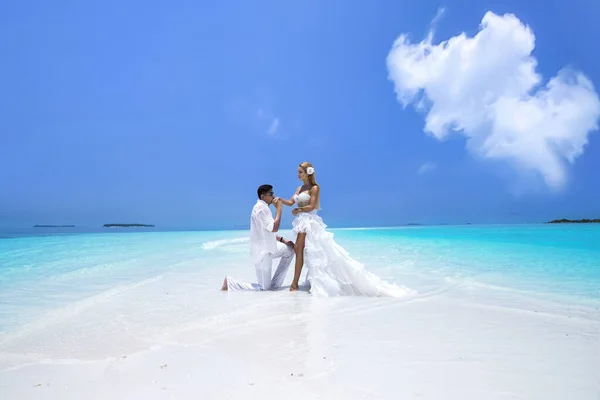 夏天的爱情身着婚纱的年轻漂亮情侣站在马尔代夫的海滩上 在马尔代夫天堂岛上的海滩上订婚和结婚 奢侈旅行 — 图库照片