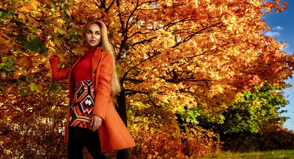 Όμορφη Γυναίκα Φοράει Φθινοπωρινά Ρούχα Φθινόπωρο Τοπίο Πολύχρωμα Φύλλα Εξωτερική — Φωτογραφία Αρχείου