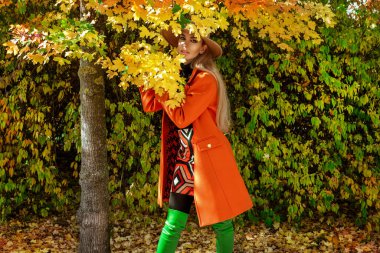 Güzel kadın sonbahar sahnesinde renkli yapraklı sonbahar kıyafetleri giyiyor. Açık hava çekimi. Sonbahar modası.