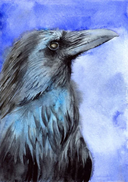 Watercolor illustration of a black raven with iridescent feathers and a large beak on a wine background