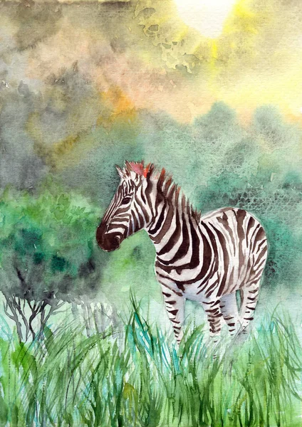 Aquarel Illustratie Van Een Gestreepte Zebra Hoog Groen Gras Tegen — Stockfoto