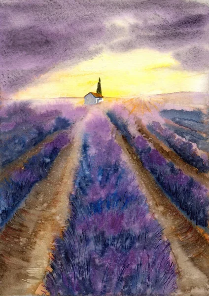 Акварельная Иллюстрация Фиолетового Лавандового Поля Фоне Желтого Закатного Неба Маленьким — стоковое фото
