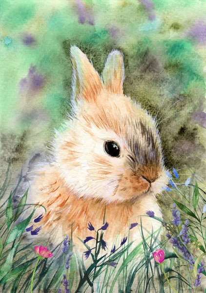 Watercolor illustration of a fluffy yellow rabbit or hare with cute ears on a gray-green background with green leaves and flowers