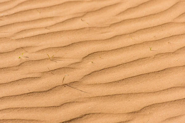 Wellen Sanddünen Textur Hintergrund Wüste Sandige Wellen Natur — Stockfoto