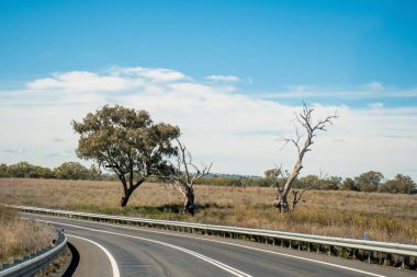 Avustralya 'da Nimmitabel yakınlarında çiftlik ve tarlalarla çevrili boş bir yol. Yolculuk konsepti