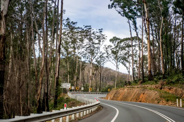 Jalan Raya Sepi Berliku Liku Dikelilingi Pepohonan Australia Jalan Pegunungan — Stok Foto