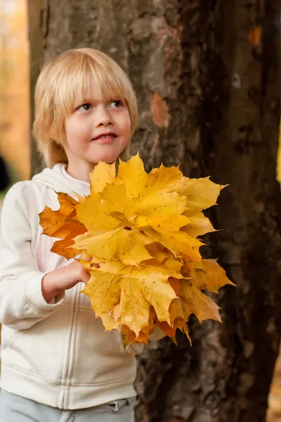 Jesienny Sezon Cute Blond Mała Biała Dziewczyna Żółtą Jesienią Klon — Zdjęcie stockowe